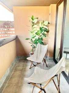 阿维莱斯El Pisín de Avilés. Parking / WIFI的阳台配有两把椅子和盆栽植物