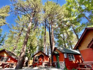 大熊湖The Village Cabins的树林中的小屋,有树木背景