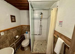 大熊湖The Village Cabins的带淋浴、卫生间和盥洗盆的浴室