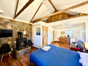 大熊湖The Village Cabins的一间带蓝色床的卧室和一间客厅