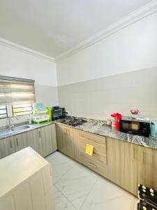 阿布贾Exotic 2 BR Apartment at Wuye, Abuja - Wifi,Netflix的厨房配有炉灶和台面