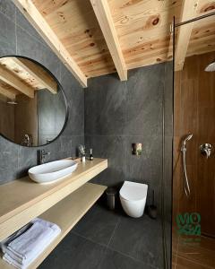 沃罗赫塔MOKHY Chalet & Nature的一间带水槽、卫生间和镜子的浴室