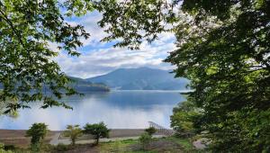 信浓VILLA SHINANO的从两棵树之间可欣赏到湖泊美景