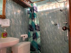 圣克里斯托瓦尔Casa Verde Vacation Garden Home的带淋浴、卫生间和盥洗盆的浴室