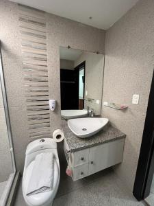 昆卡Hostal Entre Ríos的一间带卫生间、水槽和镜子的浴室
