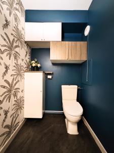 维勒瑞夫Maison de Charme - parking gratuit près de Paris & métro的一间带卫生间和蓝色墙壁的浴室