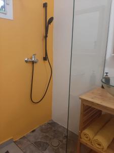 圣安尼Zabriko delair的一个带盥洗盆的浴室内的淋浴间