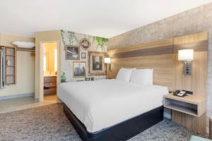 格伦维尤Best Western Glenview - Chicagoland Inn and Suites的酒店客房设有一张大床和一张书桌。