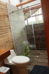 拉维加cabañas tamborillo的一间带卫生间和玻璃淋浴间的浴室