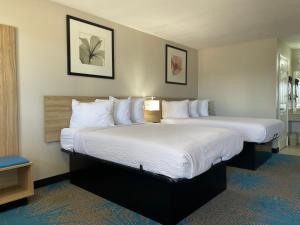 坦普尔寺院戴斯酒店的酒店客房配有一张带白色枕头的大床