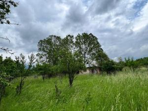 卡赞勒克Bulgaria Countryside House Tiny Villa Cottage by Mountains of Kazanlak的一片高大的草场,有房子和树木