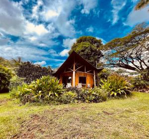 帕霍阿Kalani Oceanside Retreat的田间中的小房子