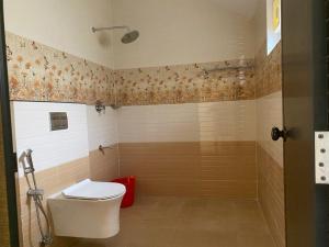 瓦加蒙Earth Lounge Resort的一间带卫生间和淋浴的浴室