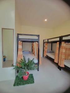 莫阿尔博阿CheRi Backpackers Hostel的一间设有三张双层床和盆栽的房间