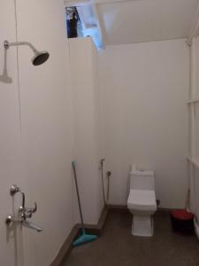 卡纳科纳Royal Castle Resort palolem, canacona的一间带卫生间和淋浴的小浴室