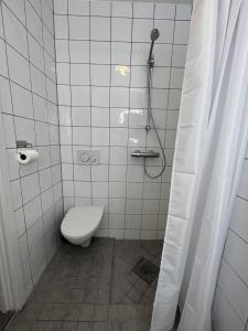 奥斯陆Grünerløkka shared Apartment Rooms的一间带卫生间和淋浴的浴室