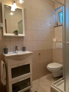 诺瓦利娅Apartmani Samec的一间带水槽、卫生间和镜子的浴室