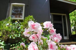 布赖特阿什伍德别墅的房子前面的一束粉红色的花
