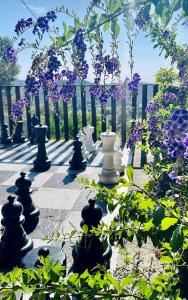 艾格芬卡艾尔奥特罗住宿加早餐旅馆的花朵紫色的庭院里一群花瓶