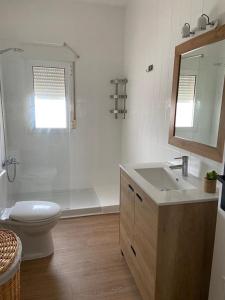 扎弗拉Apartamento Plaza Grande的浴室配有卫生间、盥洗盆和淋浴。