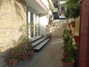 卡拉奇White Lotus Karachi的楼边有盆栽的小巷