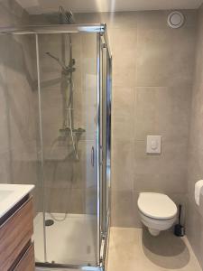 斯特拉斯堡Le Brasilia - Appartement neuf pour 4 personnes avec terrasse的带淋浴和卫生间的浴室