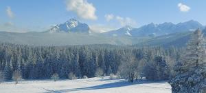 穆扎希赫尔Domek SKUPNIOWY UPŁAZ的一座白雪 ⁇ 的山丘,有树木和山脉