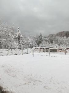 阿夫里格ART House Transylvania , Valea Avrigului , Sibiu的覆盖着雪地的围栏和树木