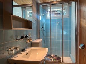 弗拉里Free Spirit Chalet的浴室配有卫生间、盥洗盆和淋浴。