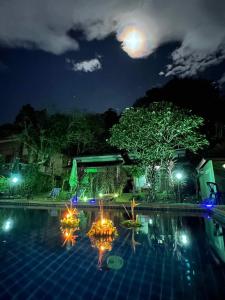 象岛Grand Tree的夜晚的游泳池,天空中月亮