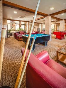 安道尔城安道​​尔宫酒店的台球室配有沙发和台球桌