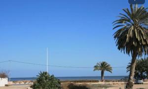 乌姆苏克MB DREAMS DJERBA的海滩上的一棵棕榈树