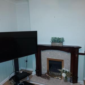 GreasbroughThe Rose的客厅设有壁炉和平面电视