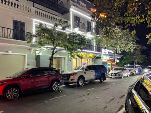 Tây NinhGOLD CITY Hotel的一群晚上停在城市街道上的汽车
