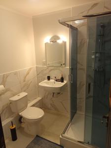 斯塔勒亚布伦基潘杰娜特维凯农家乐的浴室配有卫生间、盥洗盆和淋浴。