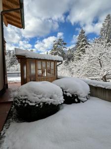 莱希河畔魏森巴赫Ferienwohnungen LODGE-B的两丛灌木的雪地房子