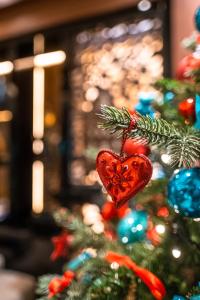 希欧福克麻辣花园设计酒店的一颗带有心饰的圣诞树