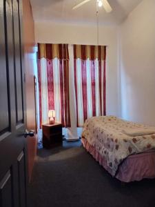 纽约Macaw Guest House的一间卧室配有一张床和一张带台灯的桌子