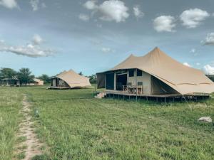 NyabogatiSerengeti Kamwene Tented Camp的一座带建筑物的田野上的大型帐篷