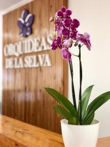 伊瓜苏港Orquídeas De La Selva的一张桌子上白色花瓶里的紫色花
