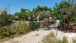 锡蒂亚Agritourism Cottage near Sitia (Henhouse)的种有树木和五颜六色花卉的花园