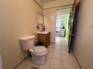 金斯敦Waves Villa Guesthouse的一间带卫生间和水槽的浴室