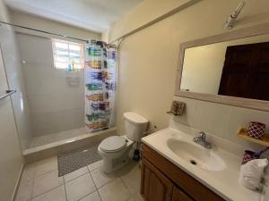 金斯敦Waves Villa Guesthouse的浴室配有卫生间、盥洗盆和淋浴。