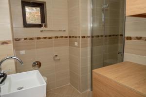 大特尔诺沃Апартамент България的带淋浴和盥洗盆的浴室