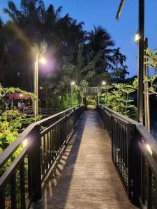 邦萨雷สวนผึ้ง2 รีสอร์ท - Suan Phueng 2 Resort的夜间有灯的木桥