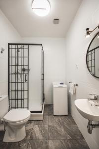 里加贝尔斯理市中心公寓的白色的浴室设有卫生间和水槽。