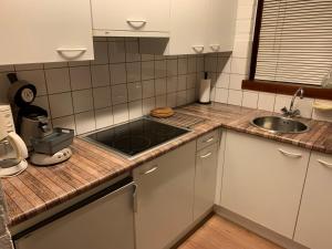 拉纳肯Ferias E55的厨房配有水槽和台面