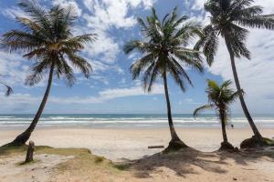 伊列乌斯Sobrado a 300m da praia de Ilhéus VCM005的海滩上的三棵棕榈树与大海