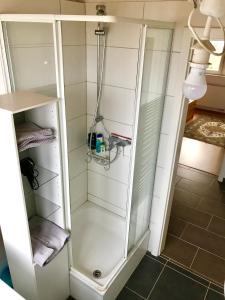 凯尔克海姆DEOSAI Apartment Kelkheim的浴室内带玻璃门的淋浴间