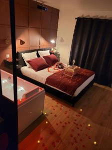 土伦Nuit d'évasion love room avec baignoire balnéothérapie的一间卧室配有一张带红色枕头的大床